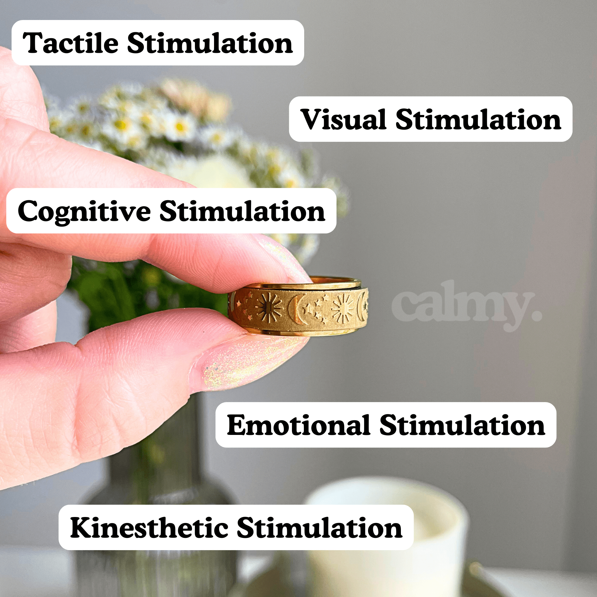 Fidget Sensory Ring - Calisea